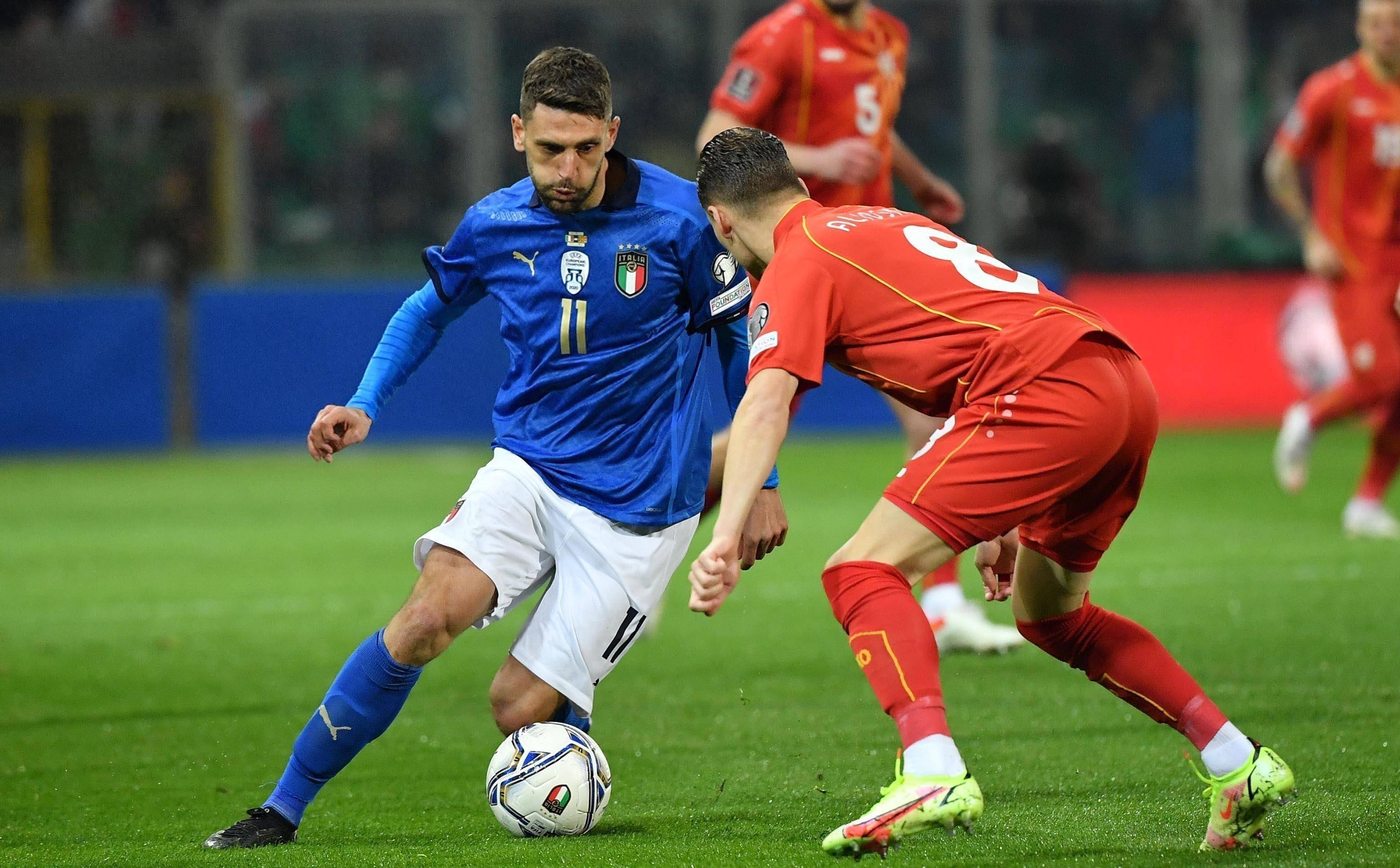 引进的替代 引进的替代