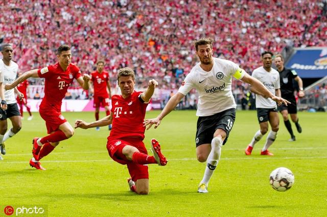 在这一届比 在这一届比