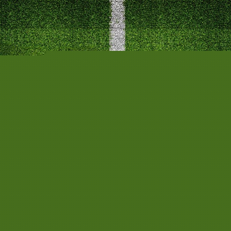 队真实的问 队真实的问