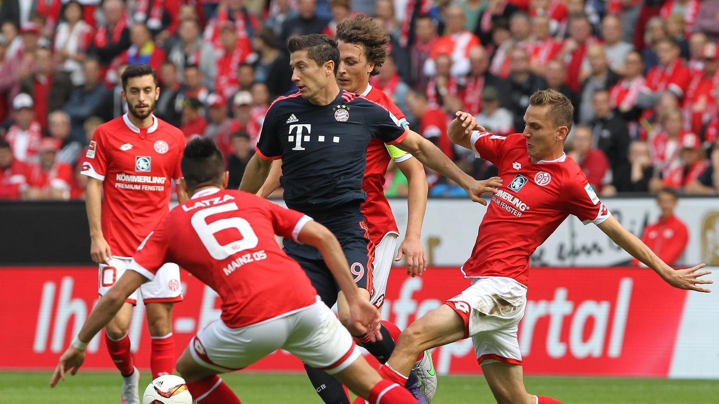 的灵活性 的灵活性