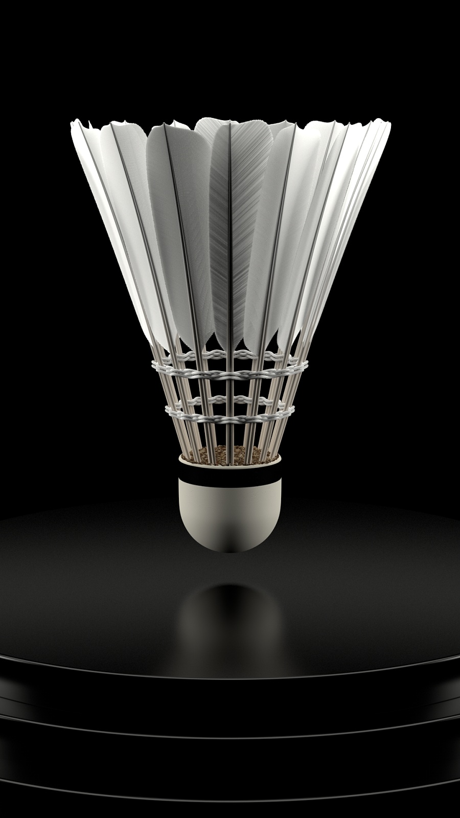 让他成为球 让他成为球