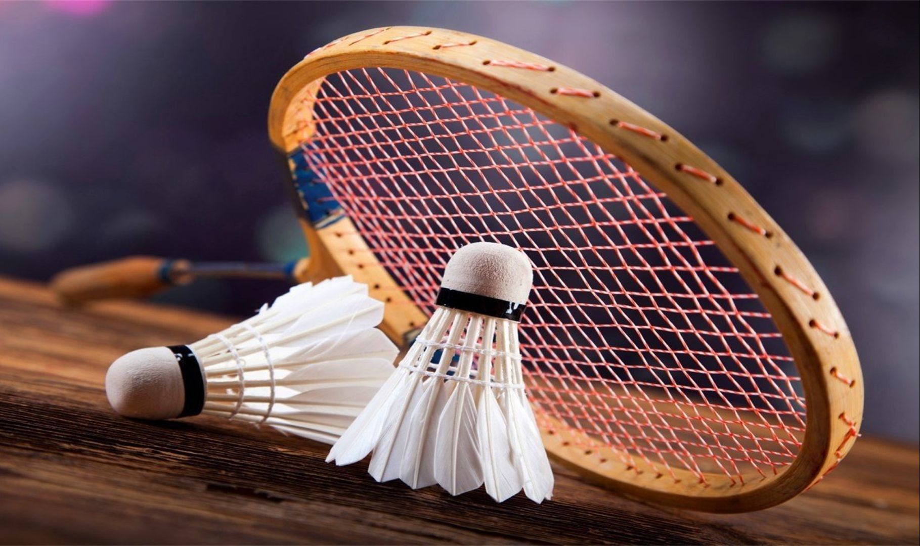 在严冬的长 在严冬的长