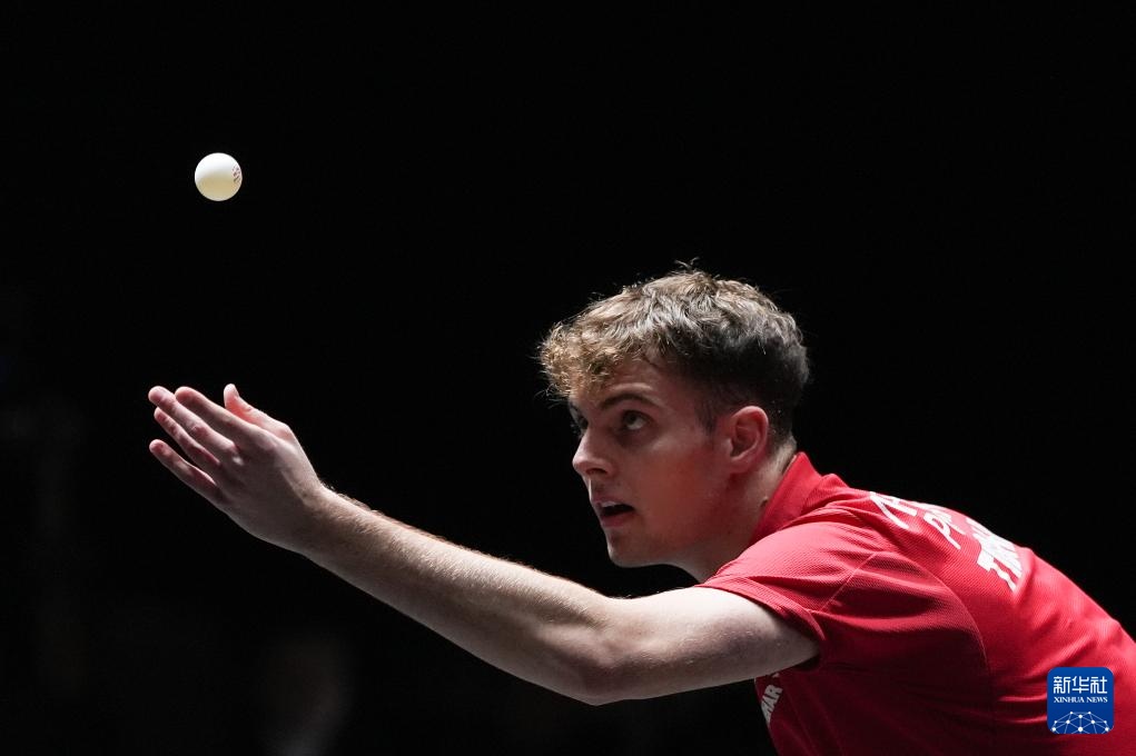 极化观点 极化观点